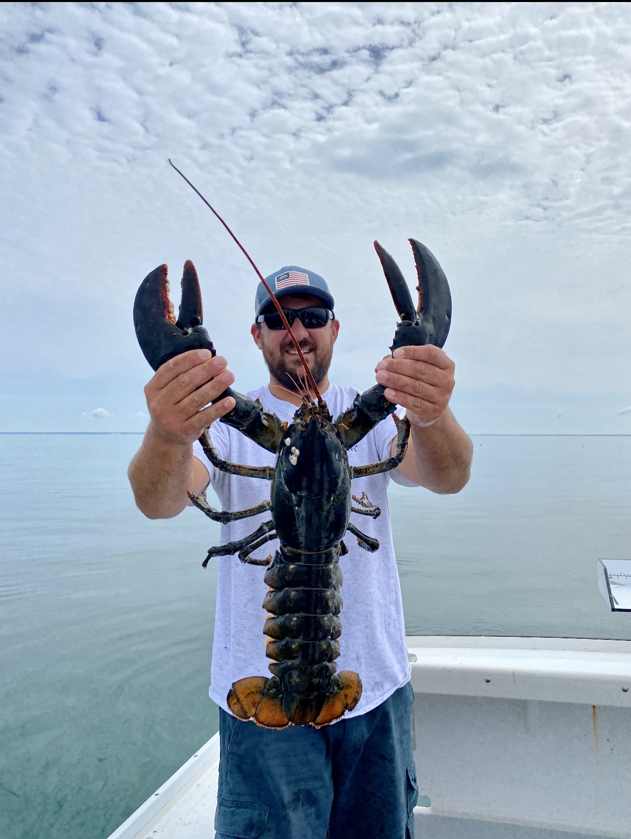 Cape Cod Lobster Tour Dennis