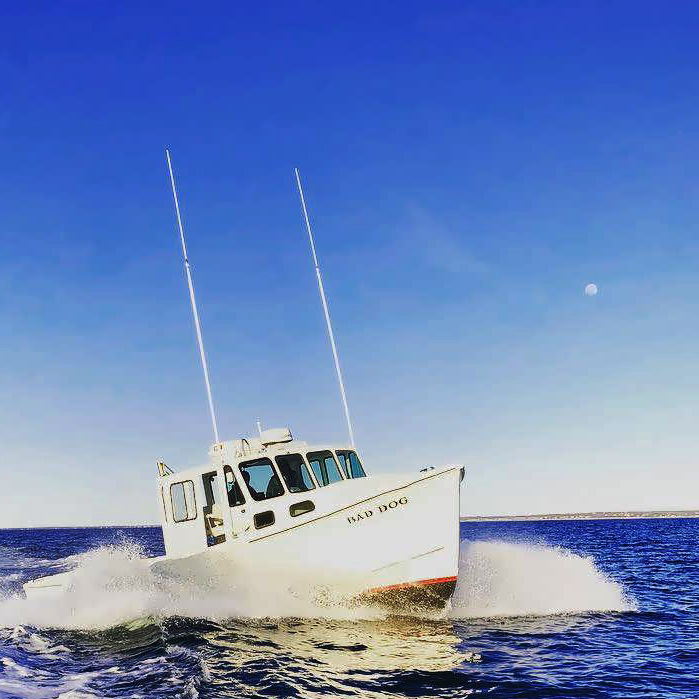 Fishing Charters Cape Cod Dennis Brewster Hyannis Yarmouth